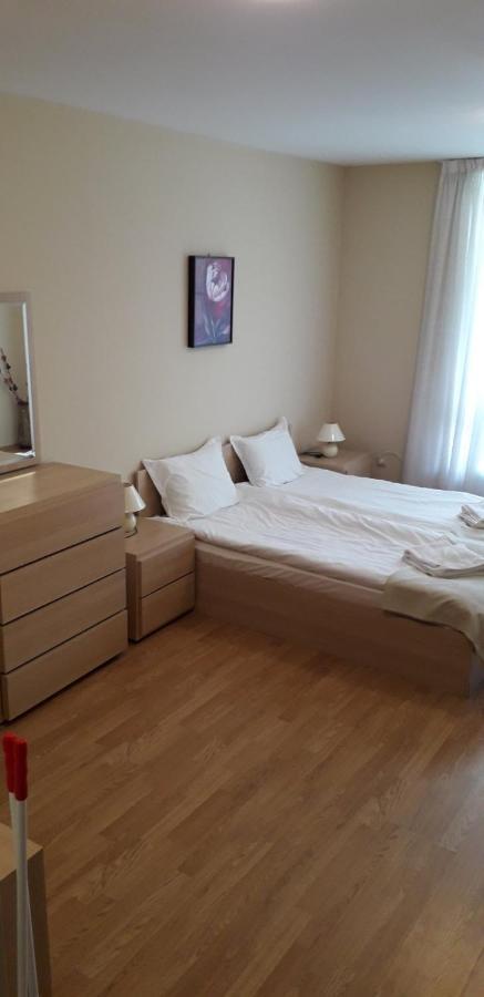 Apartments In Aspen Suites บันสโก ภายนอก รูปภาพ